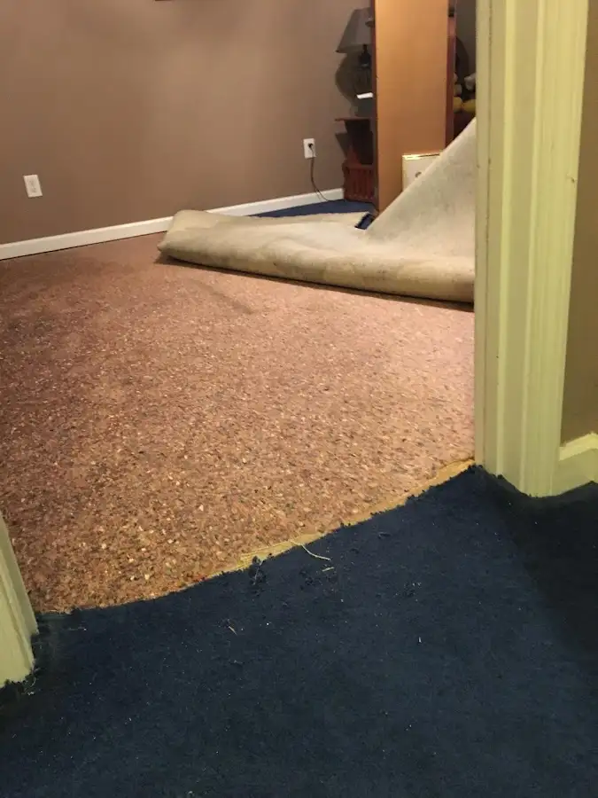 Carpet pad removal revealing water damage during Water Mitigation Services in North Kansas City